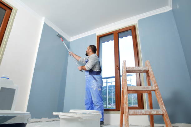 Best Environmental Consulting for Mold Prevention  in Gulf Shores, AL