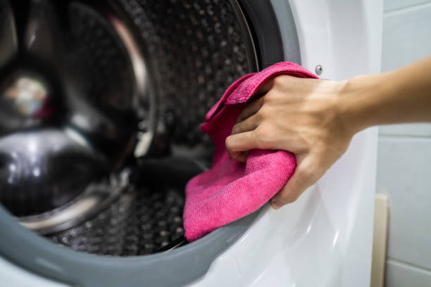 Best Mold Odor Removal Services  in Gulf Shores, AL