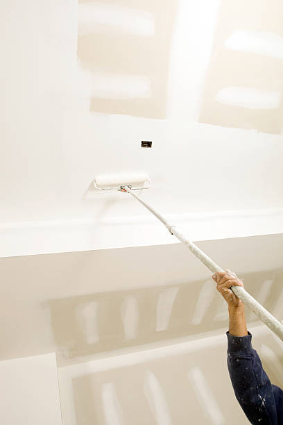 Best Dehumidification Services  in Gulf Shores, AL