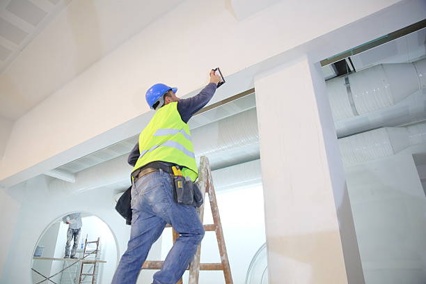 Mold Documentation for Insurance Claims in Gulf Shores, AL