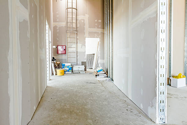 Best Commercial Mold Inspection  in Gulf Shores, AL