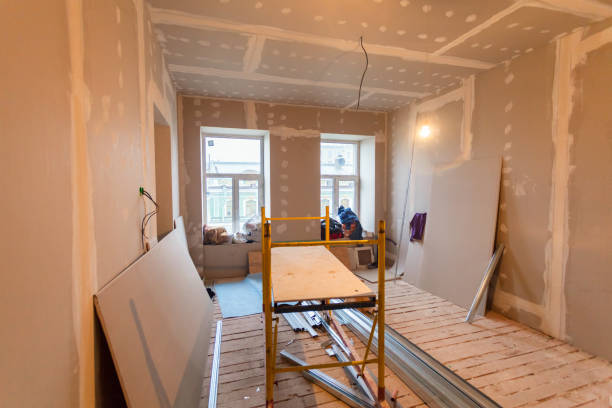 Best Crawl Space Mold Remediation  in Gulf Shores, AL